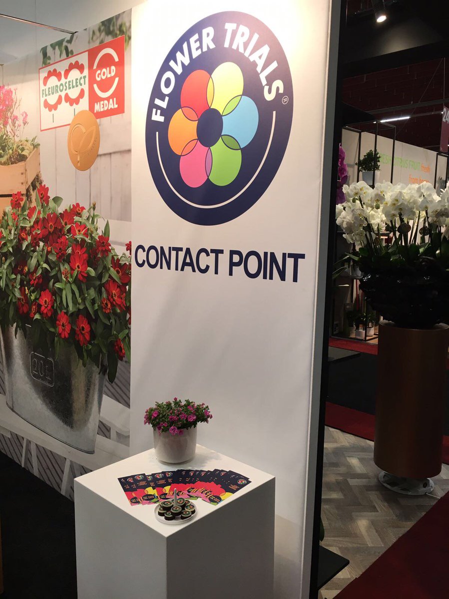 flowertrials's tweet photo. FlowerTrials represented @FloraHolland Trade Fair in Aalsmeer! Find us at the #Fleuroselect booth (22.2) today and tomorrow. https://t.co/WbX7cPtblr