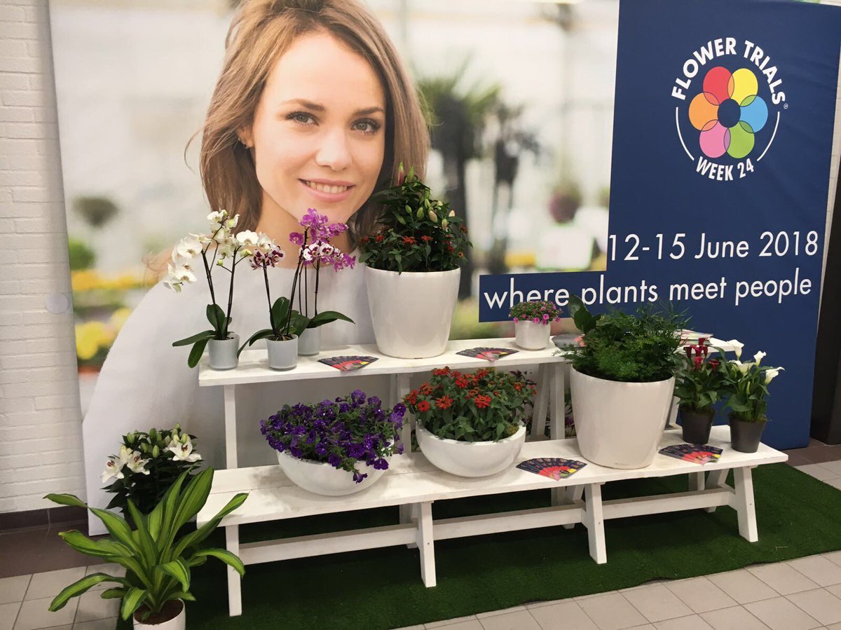 flowertrials's tweet photo. FlowerTrials represented @FloraHolland Trade Fair in Aalsmeer! Find us at the #Fleuroselect booth (22.2) today and tomorrow. https://t.co/WbX7cPtblr