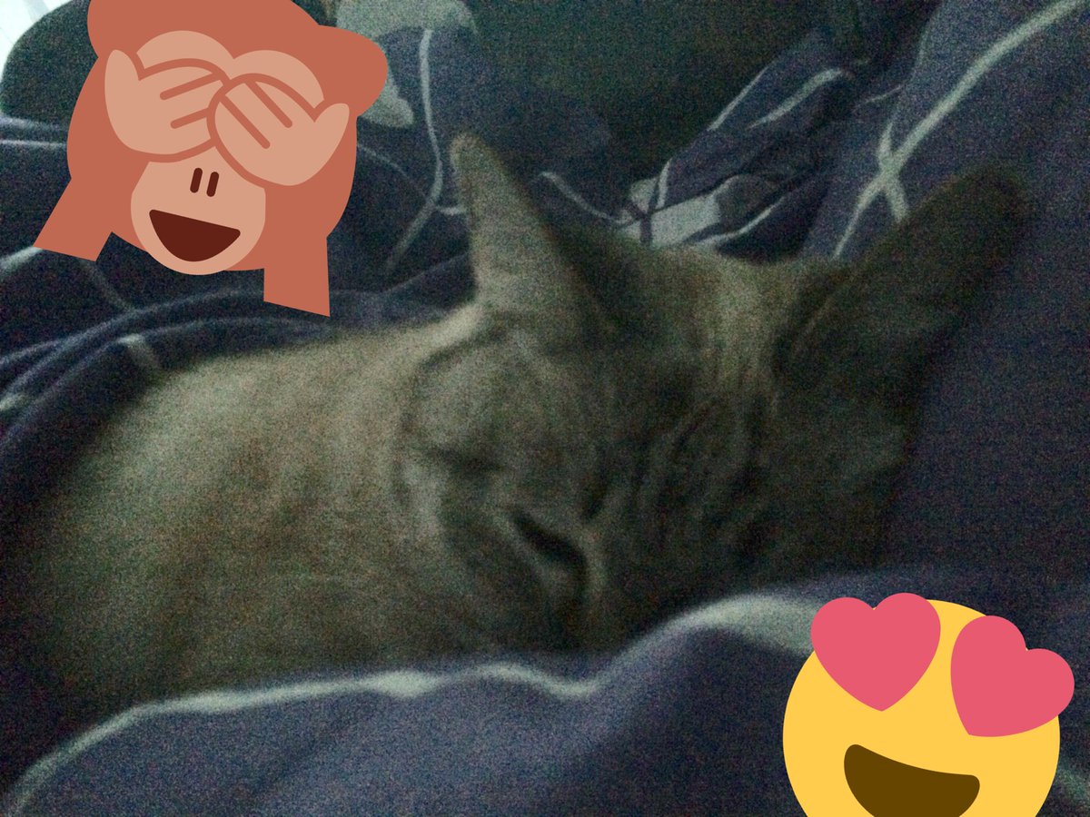 Daria_Purpose's tweet photo. 😍😍😍 https://t.co/oYr1HbVBk9