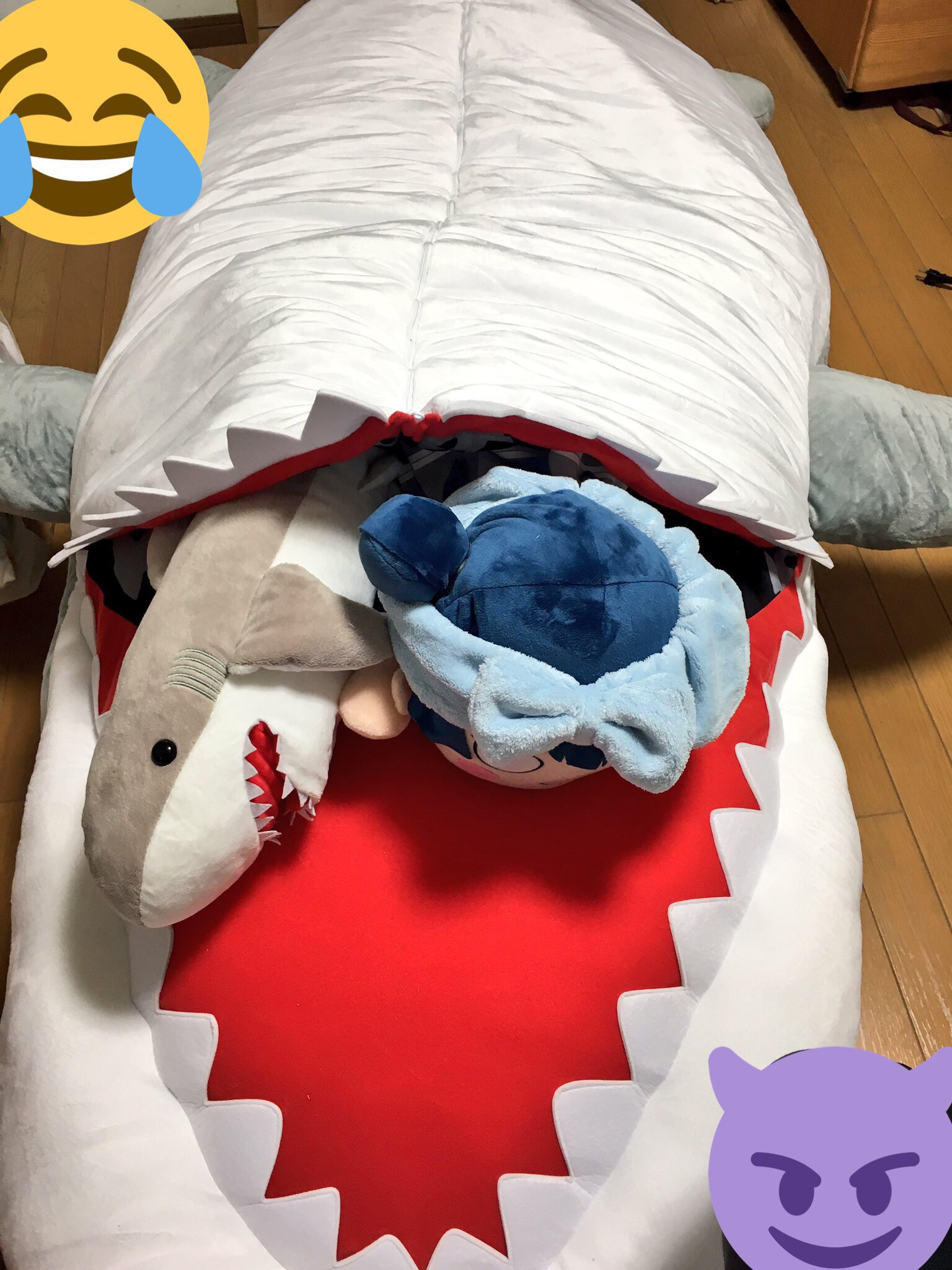 らいす Pa Twitter 津島善子サメ型クッションベッド 届きました デカイ 可愛い ヘアバンドも可愛いです これに入りながらサンシャイン二期見るの楽しみだなぁ この商品買った人と繋がりたいのです よろしくお願いします ヨハネ 津島善子サメ型クッション