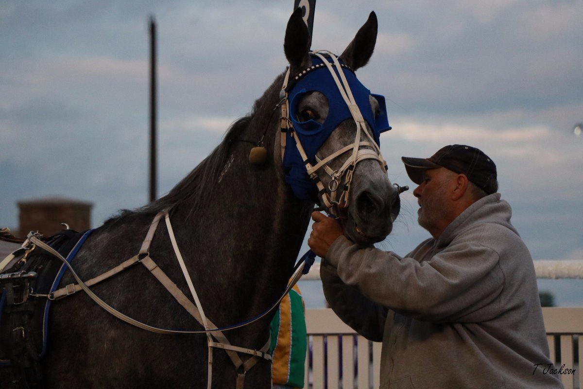 hoosiernations's tweet photo. GoodMorning @Chris_wponies @JoannKi32885615 @rebelsart @vnssa926 @dolenski_john @kimberlymoier @jtlburn @SadandSulk #RaiderGun #PlayHP https://t.co/oTbh4mFrDh