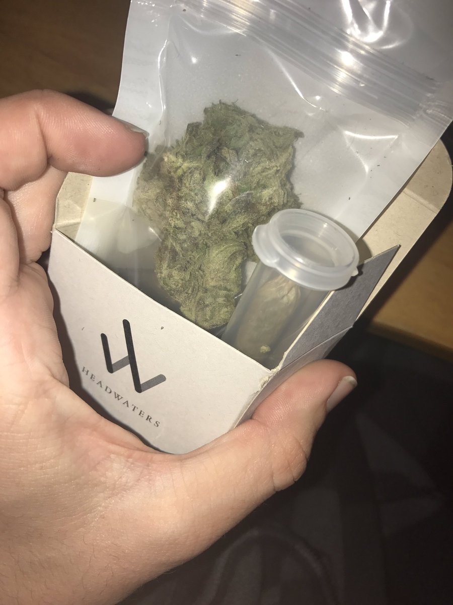 APPLESToNEPiX's tweet photo. 4= #nofilter😜
<🕛>
2= #BlackJack(@ 23.22%THC)
3= #ZKiTTLEZ🍭 #iNDiCA
<🕧>
1=for2moRRow🤔🎴
#SATiVA blend:
#WhiteOG(26%THC)
toPPing
♣️BLACKJACK♠️ https://t.co/c8wYUy2peL