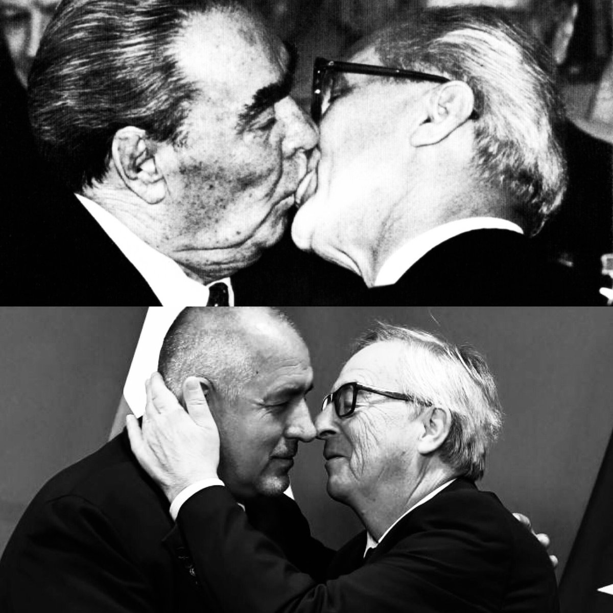 Stephanie Bosseva tweet media