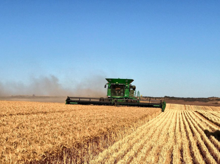 NufarmSeedsAU's tweet image. #throwbackthursday time and check out @AmeryDrage's #paddockpride entry as he breaks his yield record at Northampton WA last year.