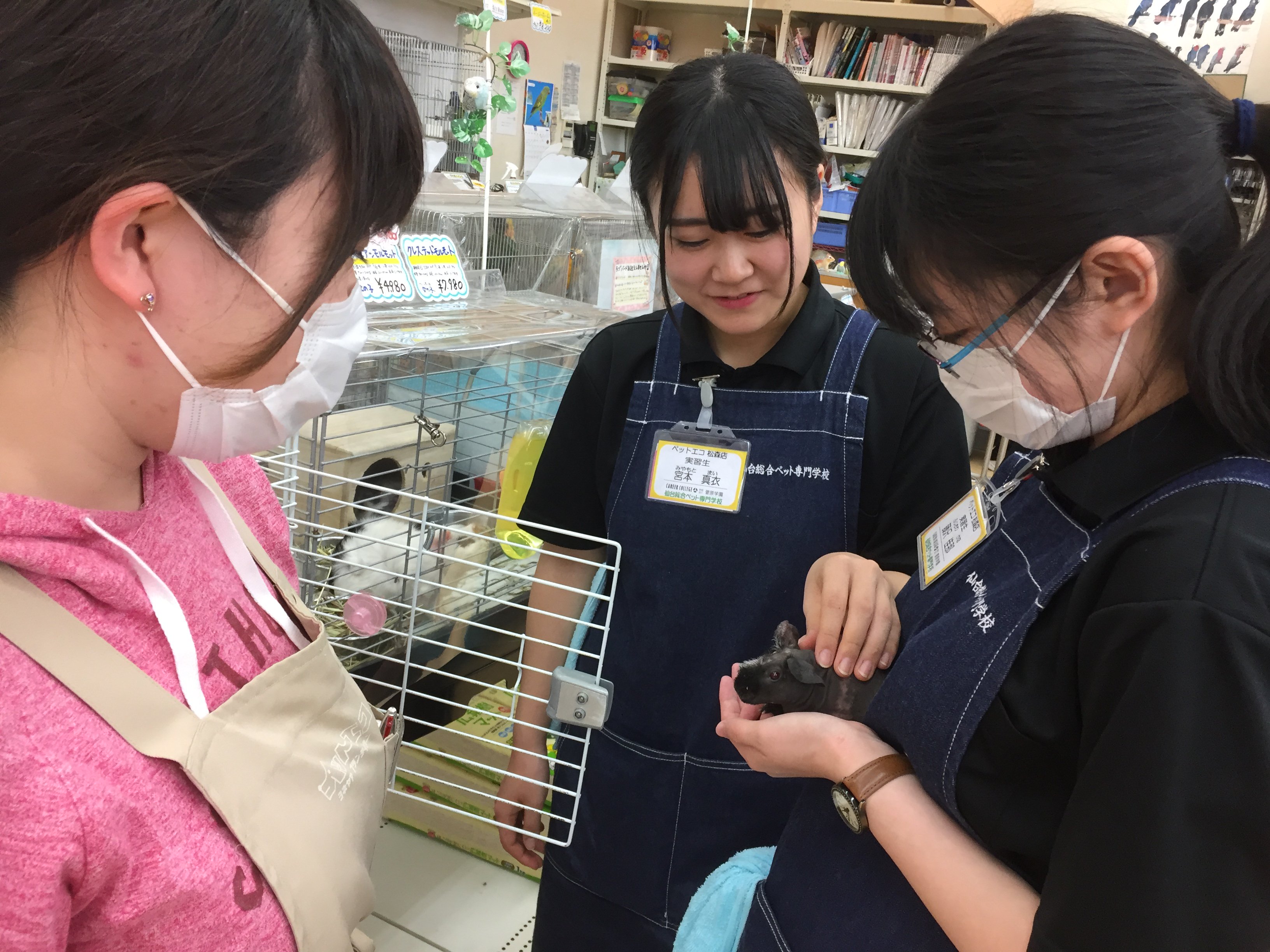 公式 仙台総合ペット専門学校ツイッター 飼育管理科 ブログを更新しました ت 今回は ペットエコ さんでの店舗授業の様子です ぜひご覧ください T Co Ogegfl2zlc 菅原学園 仙台総合ペット専門学校 飼育管理科 T Co