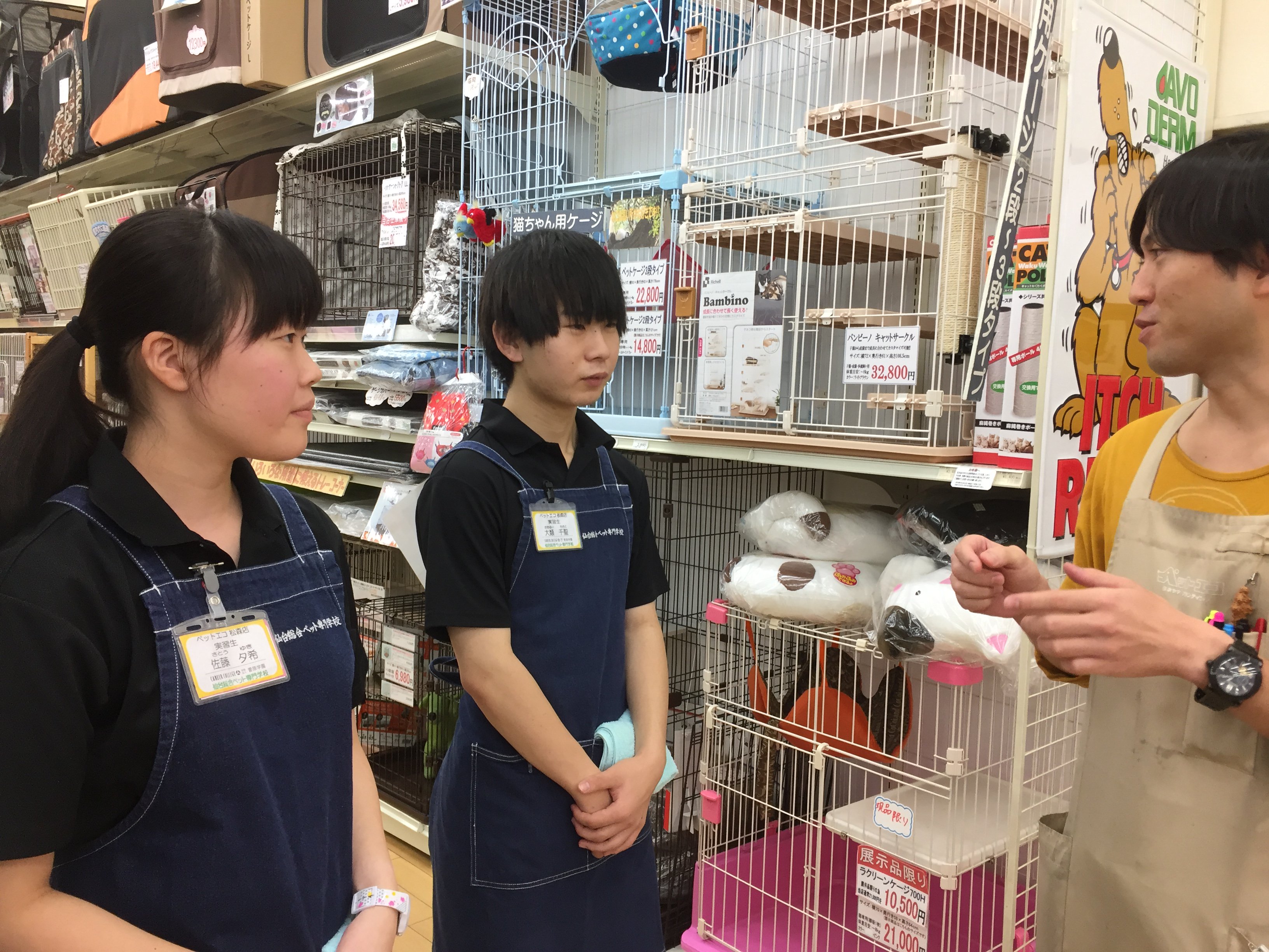 公式 仙台総合ペット専門学校ツイッター 飼育管理科 ブログを更新しました ت 今回は ペットエコ さんでの店舗授業の様子です ぜひご覧ください T Co Ogegfl2zlc 菅原学園 仙台総合ペット専門学校 飼育管理科 T Co