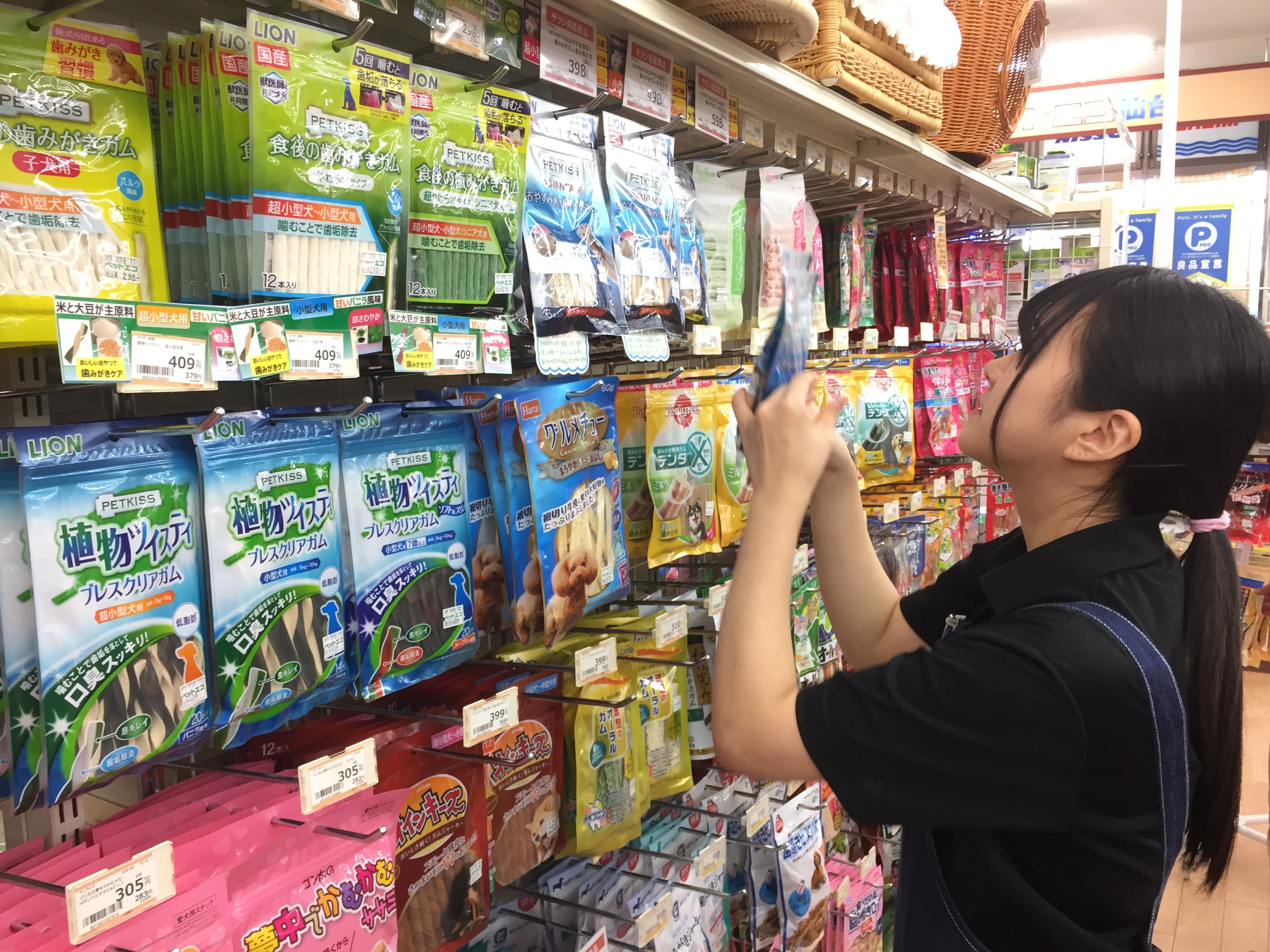 公式 仙台総合ペット専門学校ツイッター 飼育管理科 ブログを更新しました ت 今回は ペットエコ さんでの店舗授業の様子です ぜひご覧ください T Co Ogegfl2zlc 菅原学園 仙台総合ペット専門学校 飼育管理科 T Co