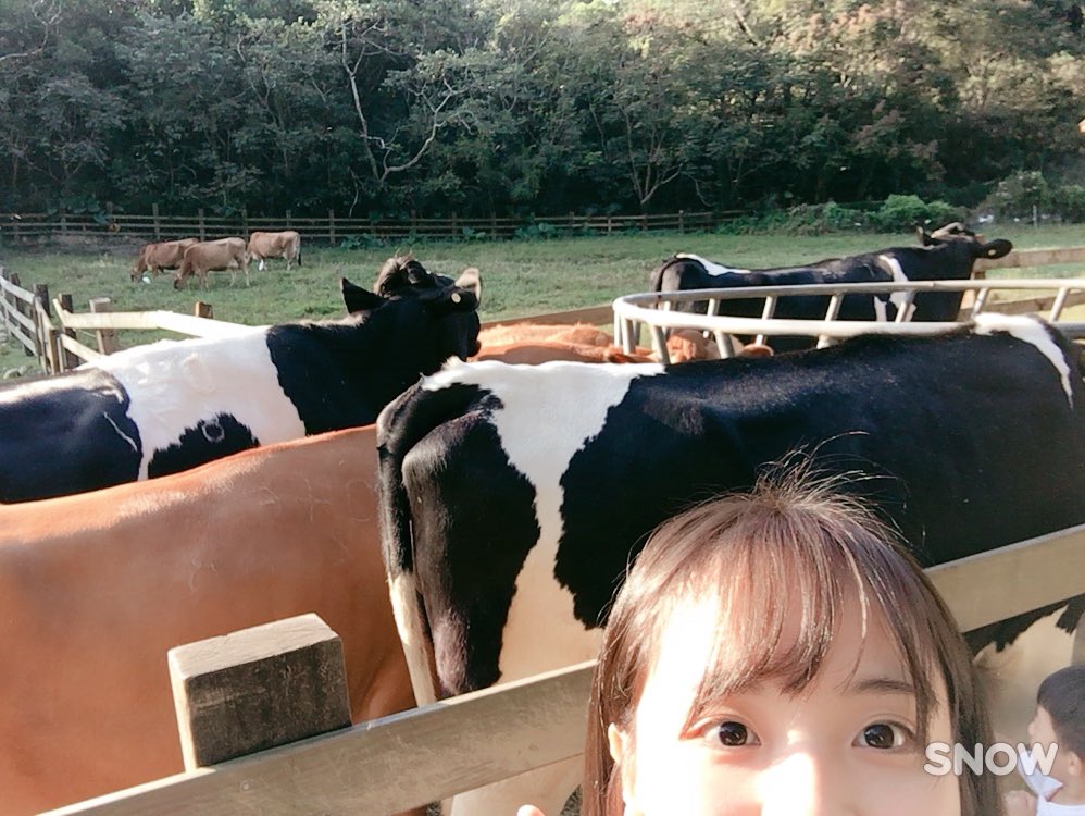 __chunyi's tweet photo. 🐶🐄🐂🐇🐓🐑🌲🌿☘️🍀🍂 https://t.co/H7HdyuZKqm