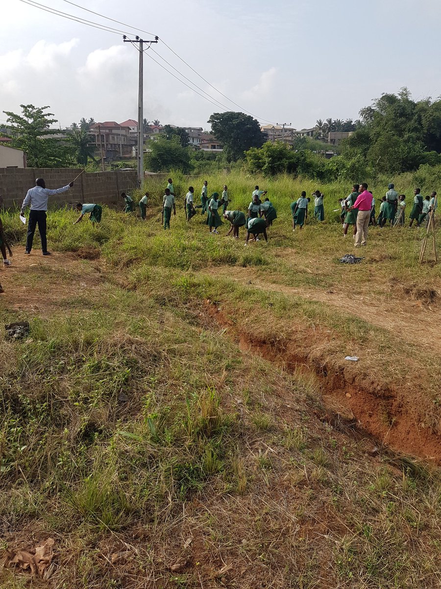GeneralExpat007's tweet photo. Tuk dis fotogrphs on my way to work, i engaged d teacher but he was too rigid to unlearn, so i engaged d few students on wat agric really is and details on weeding. #YouthTakeover #younginnovatorsinagric https://t.co/UZTVWsoKLn