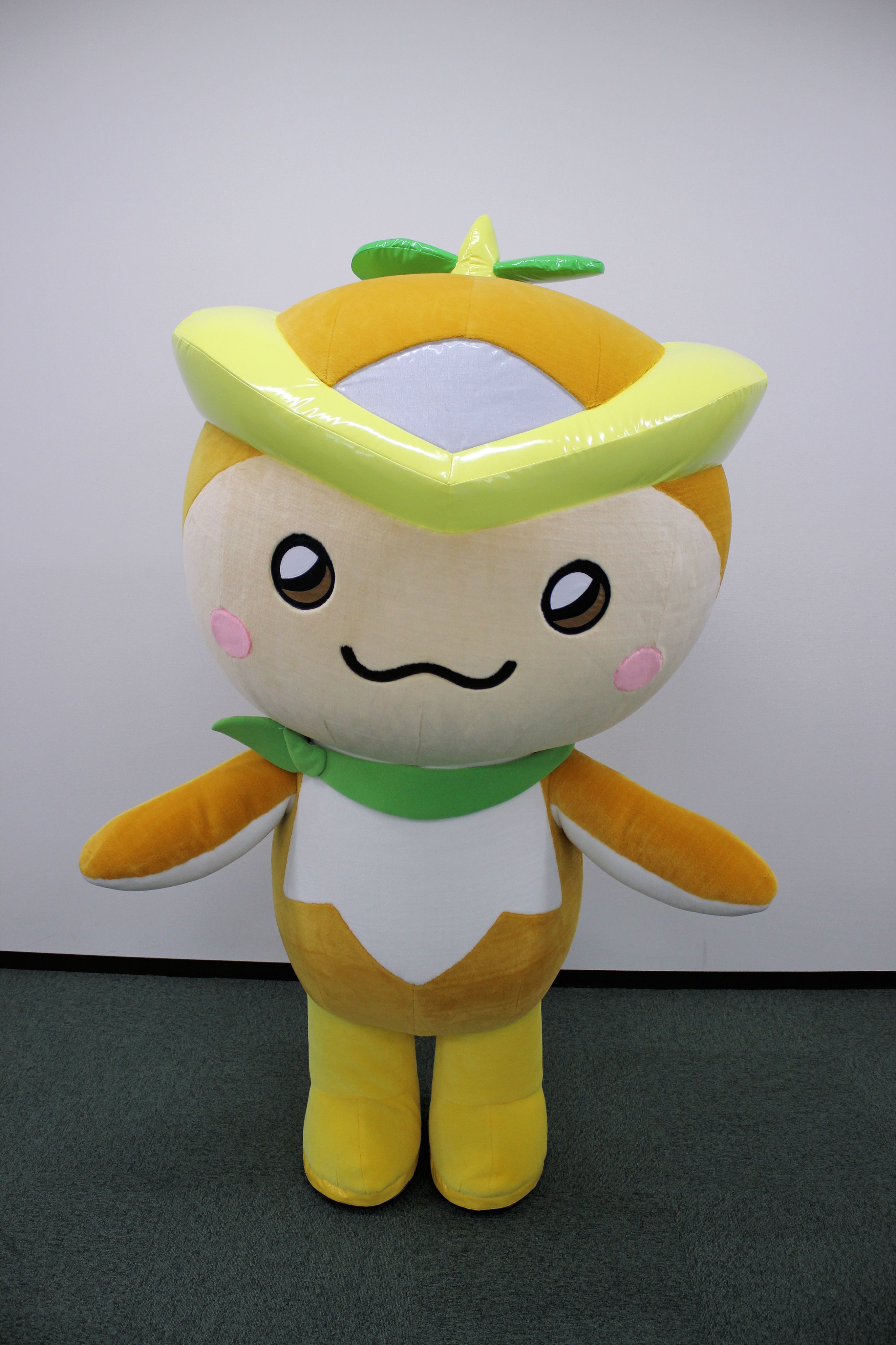 アキバエンタメマラソン きゃらスポ祭 On Twitter 12月10日 日 日比谷公園 健康広場 難病啓発支援 Aemきゃらスポ祭 出演者のご紹介です 埼玉県所沢市 ご当地キャラ ところん さんの参加が決定 ところん ご当地キャラクター アキバエンタメマラソン Aem