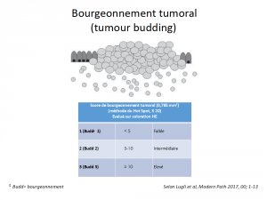 LeCancerFr's tweet photo. #oncodigestif #recommandations ANATOMOPATHOLOGIE DES CANCERS COLORECTAUX _  Des nouvelles du ... - https://t.co/CrHJfBM0ku https://t.co/lFEHhcQgKb