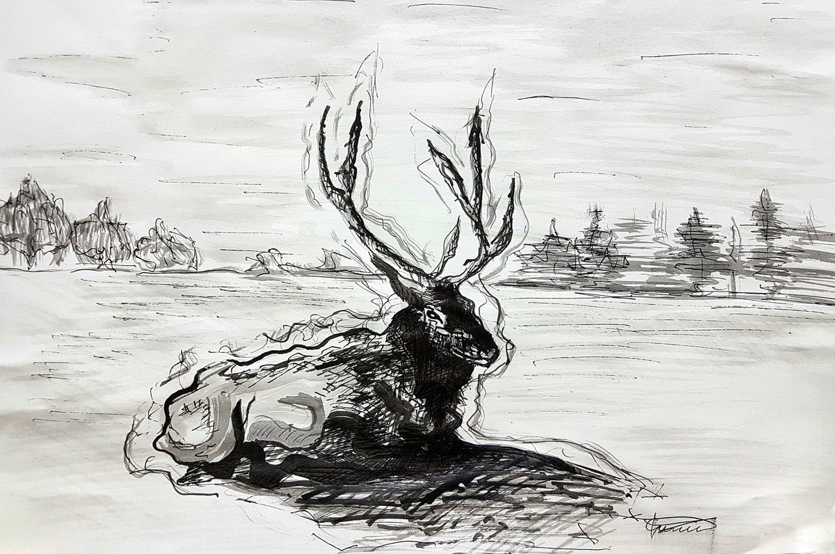 Imer Gashi tweet media