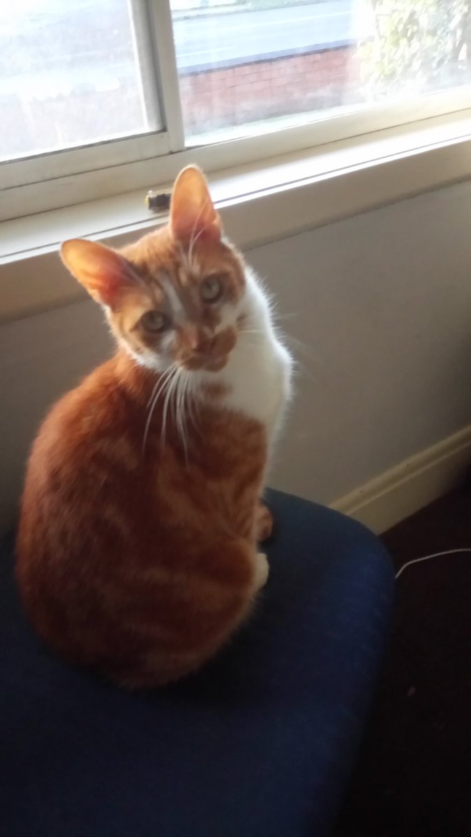 allcatsarejerks's tweet photo. Notes finished. #editingcat approves
Now for South Park!! https://t.co/8FimaNxM2I
