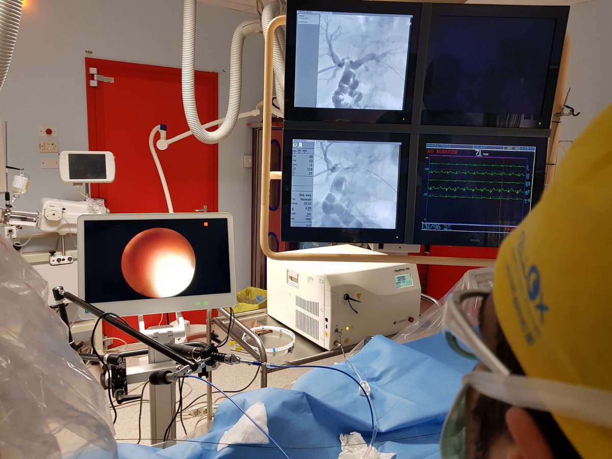 PolyDiagnost's tweet photo. Another successful case with our 42cm #PolyScope used in a percutaneous approach in #interventional radiology to treat a common bile duct stone. @ Sant'Anna Hospital in Como, Italy by Dr. Sallemi and Dr. Rovere https://t.co/dsT2puREji