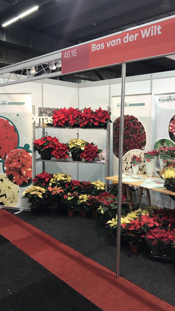 BasWilt's tweet photo. Day 2 @ the Royal Floral Holland Trade Fair #RFHTradeFair https://t.co/hnOuw3m6cr