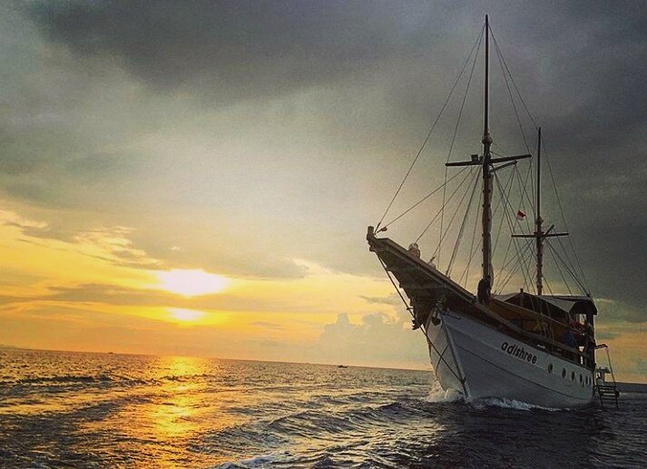 komodo_boat's tweet photo. PINISHI ADISHREE
MAKSIMAL 12 ORANG
PINISHI CHARTER LIVE ON BOARD KOMODO
PINISHI CHARTER SAILING TRIP KOMODO
PRIVATE CHARTER SAILING TRIP KOMODO
BOKING
TELPON/WHATSAPP.082340604460
#pesonaindonesia #generasipesonaindonesia
#WonderfulIndonesia #genpi #komodo https://t.co/UD59Nm2zzE