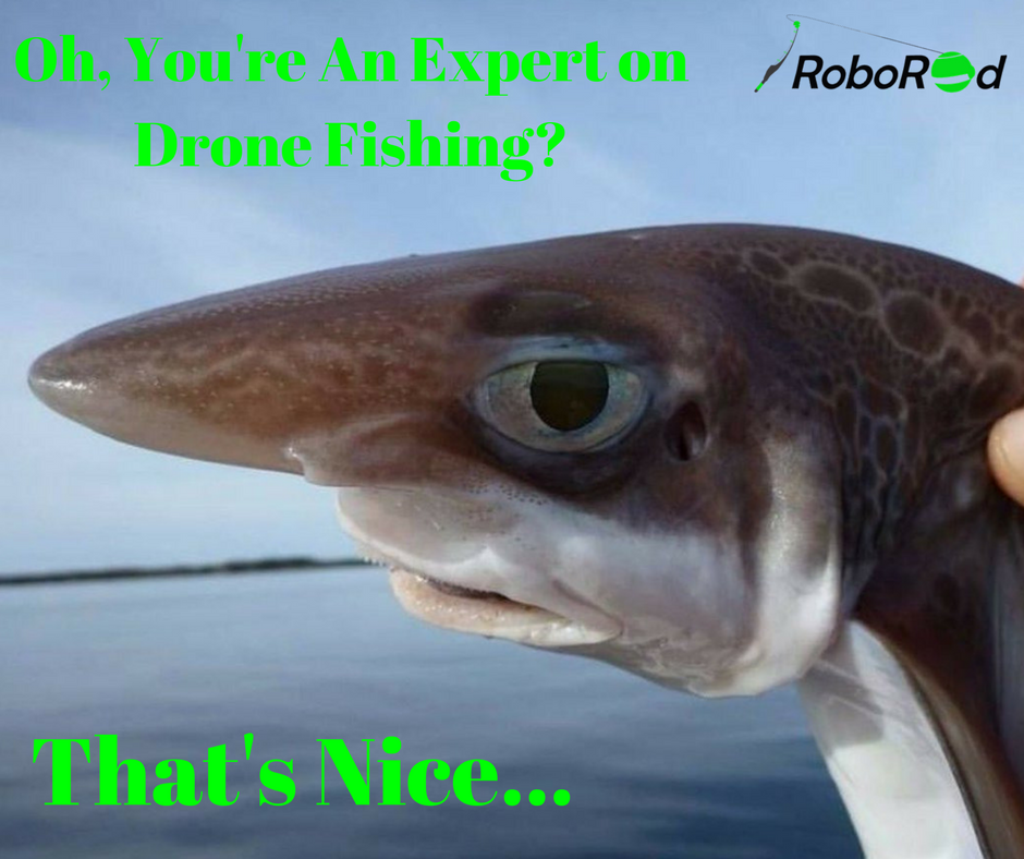 Roborod23's tweet photo. At #Roborod we are proud drone technology fishing experts! 

Everyone around us is excited about this innovative rod, expect for the fish of course :D

 #Fridayfun  #fishingmemes https://t.co/pFRO2twJ6y