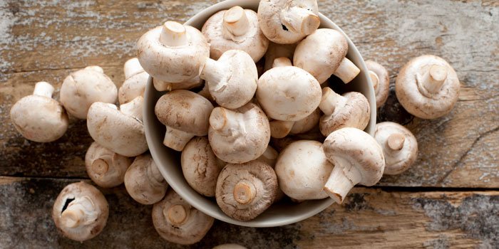JentonGroup's tweet photo. Today is all about UV & Vitamin D.. #JenAct #Jenton #UV #Mushrooms #Sunshine #VitaminD https://t.co/EAqJvY3IdO https://t.co/jO79DUvERR