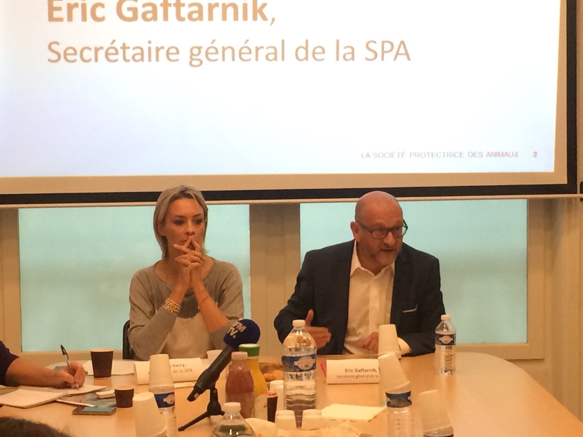 SPA_Officiel's tweet photo. "Nous sommes déterminés à faire  évoluer la législation. 2 plaintes ont déjà été déposées contre la chasse à courre et la corrida. D'autres vont venir contre la fourrure, les anx dans les cirques, le gavage, l'abattage sans étourd et l'exp animale" https://t.co/zoqOWcTomE