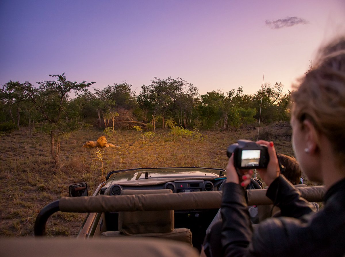 VisitSouthAfrica tweet media