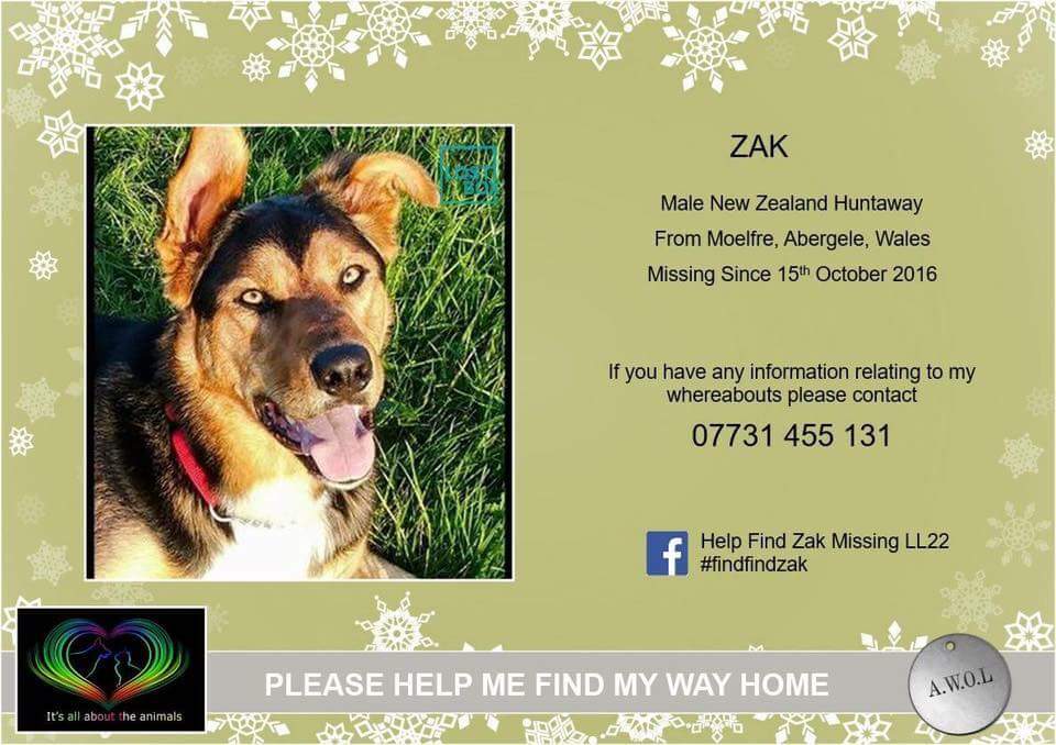 #FindZakHuntaway tweet media