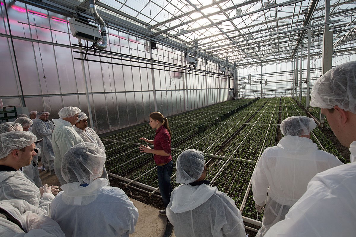 HortiContact_EN's tweet photo. On 20 and 21 February 2018, international growers can discover the latest developments in Dutch glasshouse #horticulture, during the HortiContact Tour. For more information: https://t.co/lyG8MiZNuY https://t.co/36PDQfJ52L