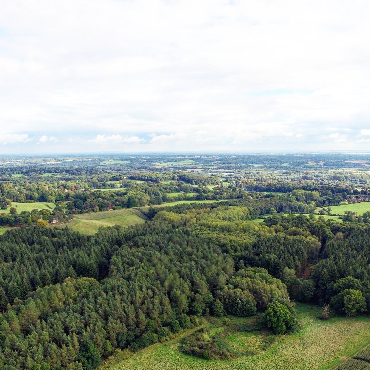 DarterDrones's tweet photo. Home counties #drones #aerialphotography #Berkshire #darterdrones #woodland #grassland https://t.co/o3IutRTMyC