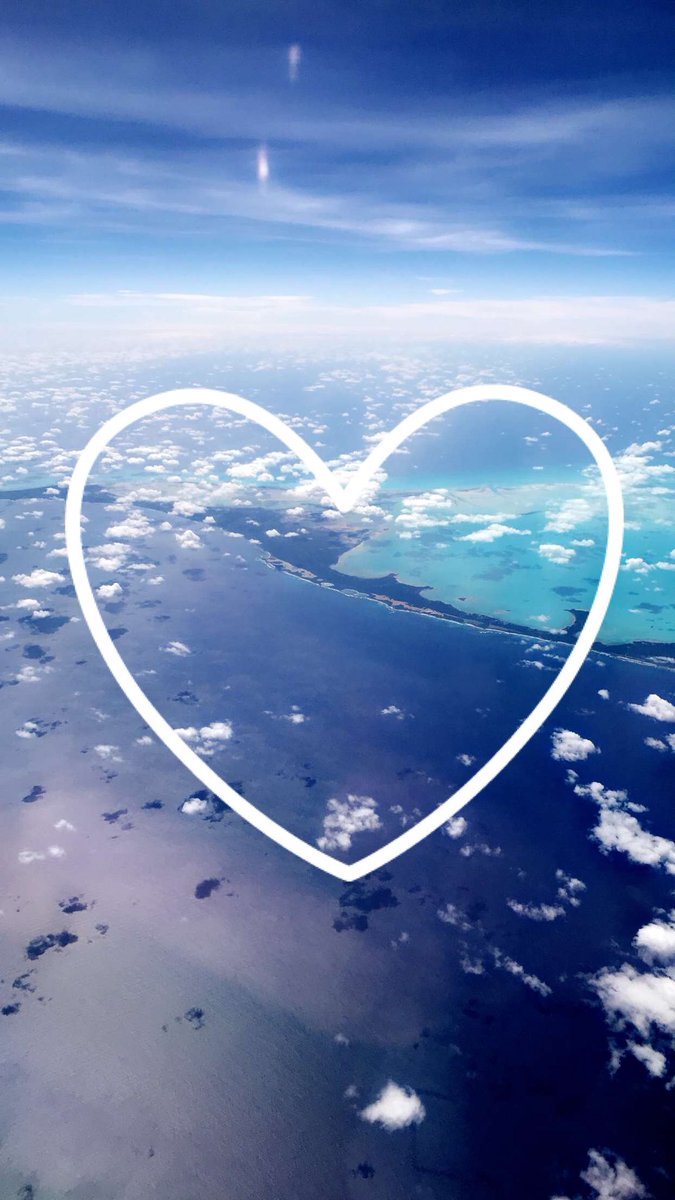 Lexi (@lexorius_) on Twitter photo 