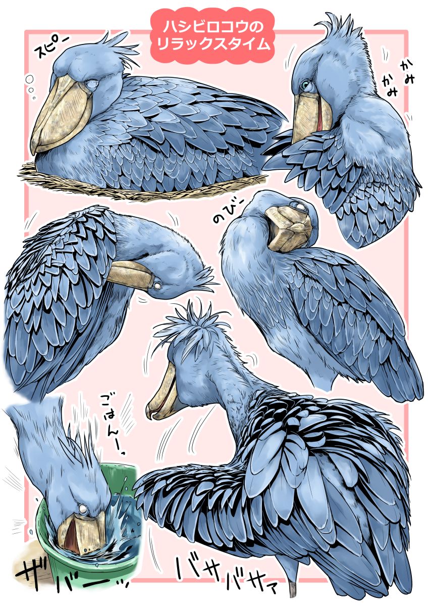 『椎名くんの鳥獣百科』10巻初回限定版特典のミニ画集に収録されている、ハシビロコウの完成版です！作者が一心不乱に描いたこだわりの羽のモフモフ感を楽しんでください！最終巻10巻は11月14日発売！興味を持っていただけた方はぜひ！ 