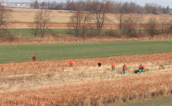 Cherrybend's tweet photo. Don't miss out on our European Hunt! Usually over 200 pheasant fly! https://t.co/wFgwvtrb4G https://t.co/XIfbONVPM7