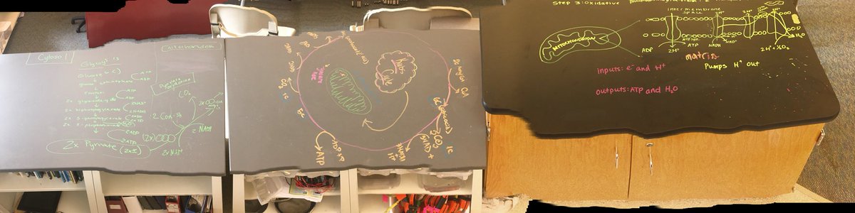 BioIsLife8's tweet photo. Prepping for cell respiration in #APBio! Next up testing rate of CR #labskillz #bioislife #powerhouse @taboracademy https://t.co/HEpn9ujpVF