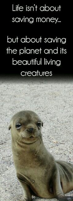 EnviroCitizen's tweet photo. Life isn't about saving money...but saving the planet &amp; it's beautiful creatures
#savetheplanet #Sustainability https://t.co/v7AAeJkOIu