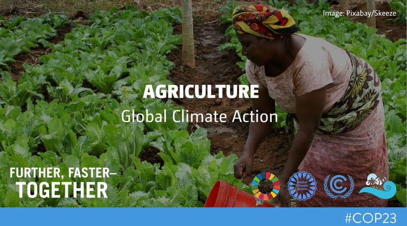 UNFCCC's tweet photo. Today at #COP23, #agriculture is a main focus. Check out the full programme of events: https://t.co/WilKrnEu88 #GlobalGoals https://t.co/TMg4ccqmhx
