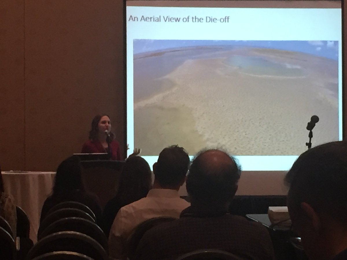 Dr. Betsy Stoner tweet media