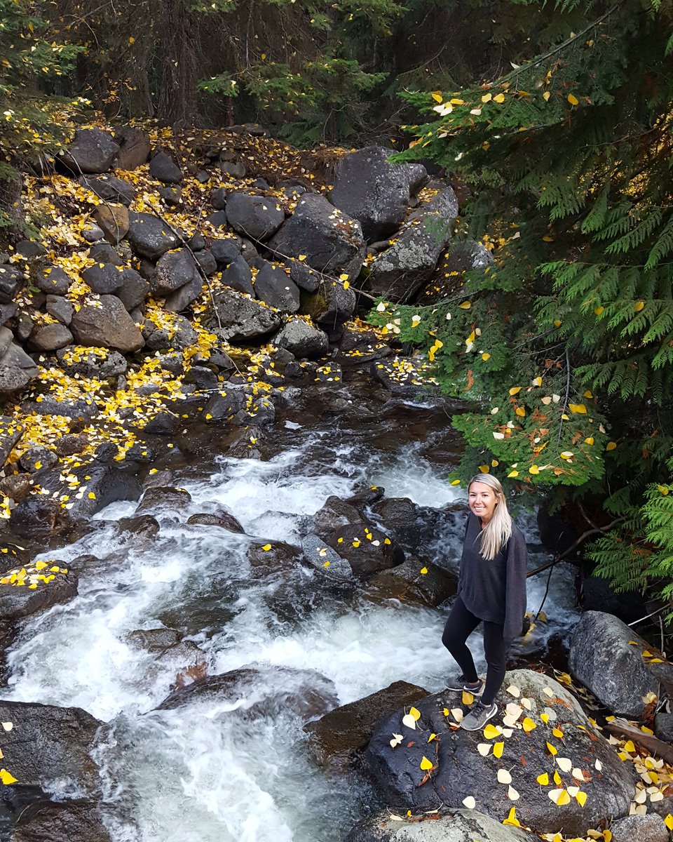 road_trip_usa_'s tweet photo. Just gorgeous up here in the North Cascades!

#northcascade #pnw #vanlife #neverstopexploring #getoutside #naturelovers https://t.co/e5ye2GPLd4