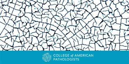 Pathologists's tweet photo. Elevating Pathology to an Art Form: 3 finalists from #cap17dc photo contest:  https://t.co/zHMtwvyH12. #pathart @SueEPig @ALBoothMD https://t.co/SEf3j7WPpt