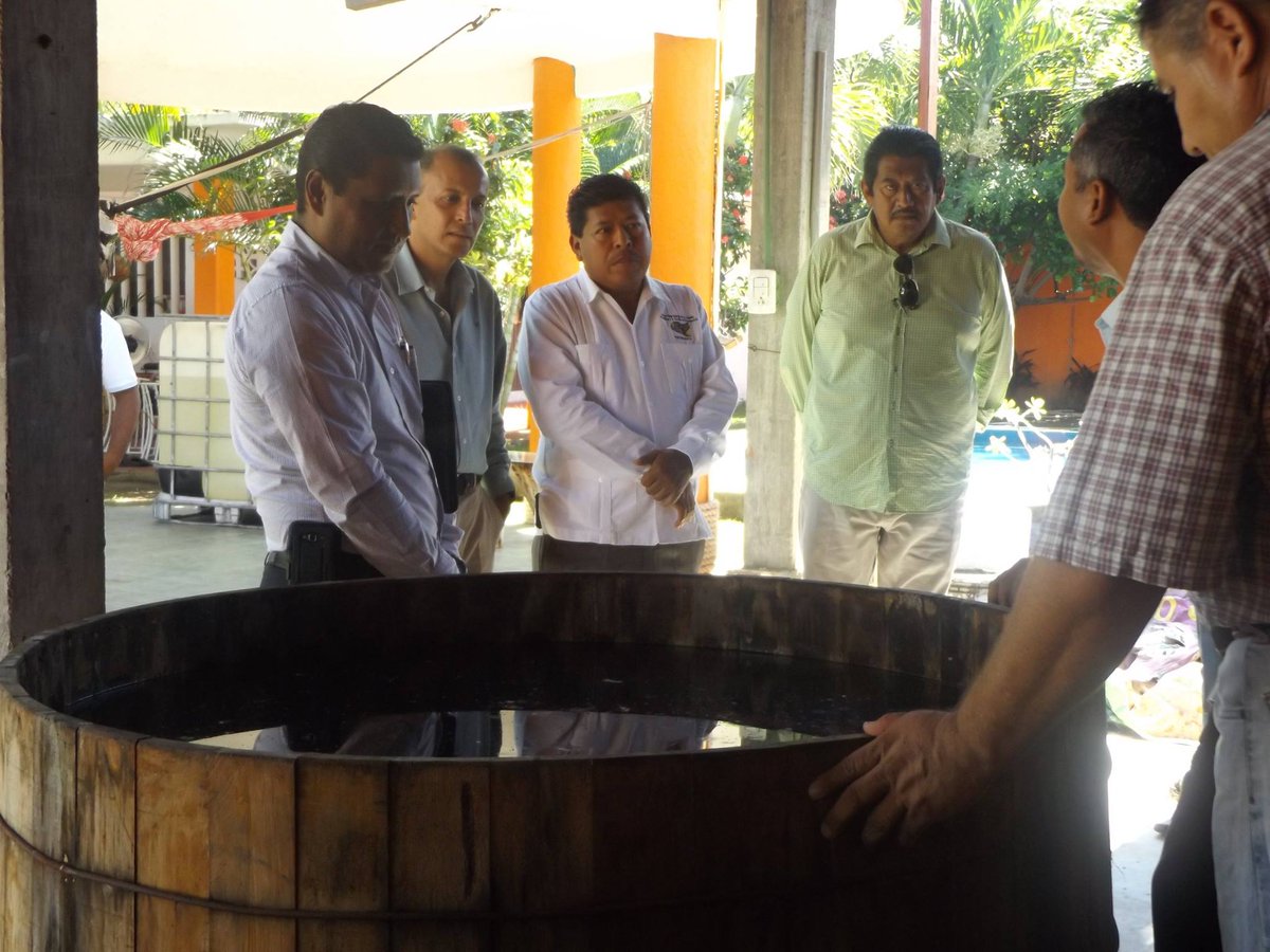 GroEconomia's tweet photo. El Delegado Federal en Guerrero, Fernando Jesus Melendez Cortes, el pasado 11 de octubre, asistió a la reunión de la Rueda de Bebidas y Destilados en México 2017, así también acudió a la Vinata en Pie de la Cuesta, en Acapulco, Guerrero. https://t.co/KAvEkm7CYB