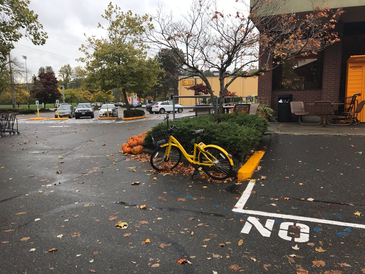 DocklessBike's tweet photo. NO. #docklessbikefail https://t.co/cfFdiwTnnJ