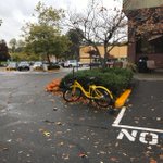 Photo by Dockless Bike Fail (@DocklessBike)