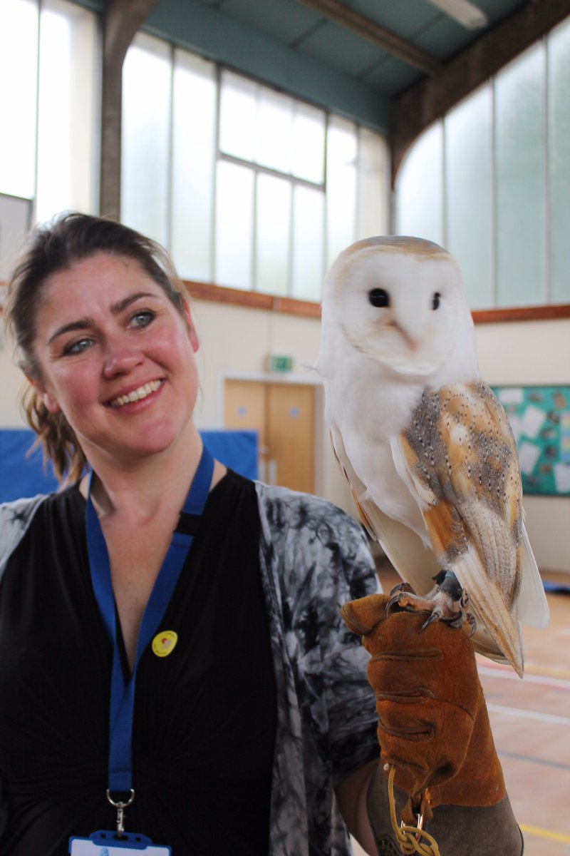 CHSEarlyYears's tweet photo. #Reception &amp; #Nursery pupils both got up close to owls, falcons, buzzards and kestrels thanks to visit from @wheatleybirds of Prey. https://t.co/rIQB1FwkTY