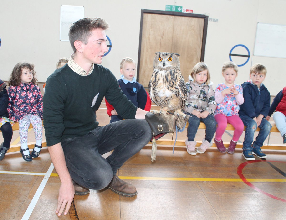 CHSEarlyYears's tweet photo. #Reception &amp; #Nursery pupils both got up close to owls, falcons, buzzards and kestrels thanks to visit from @wheatleybirds of Prey. https://t.co/rIQB1FwkTY