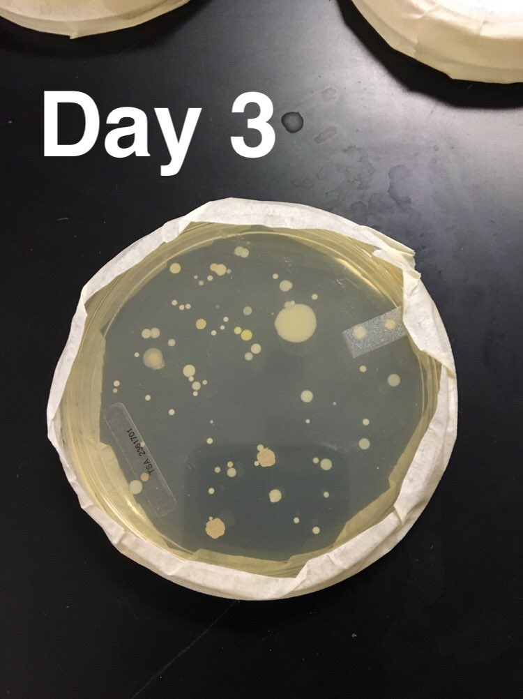 TaylorBurden15's tweet photo. Streaming from Shiloh’s phone screen #rhsbms https://t.co/ndOBpDKLC4