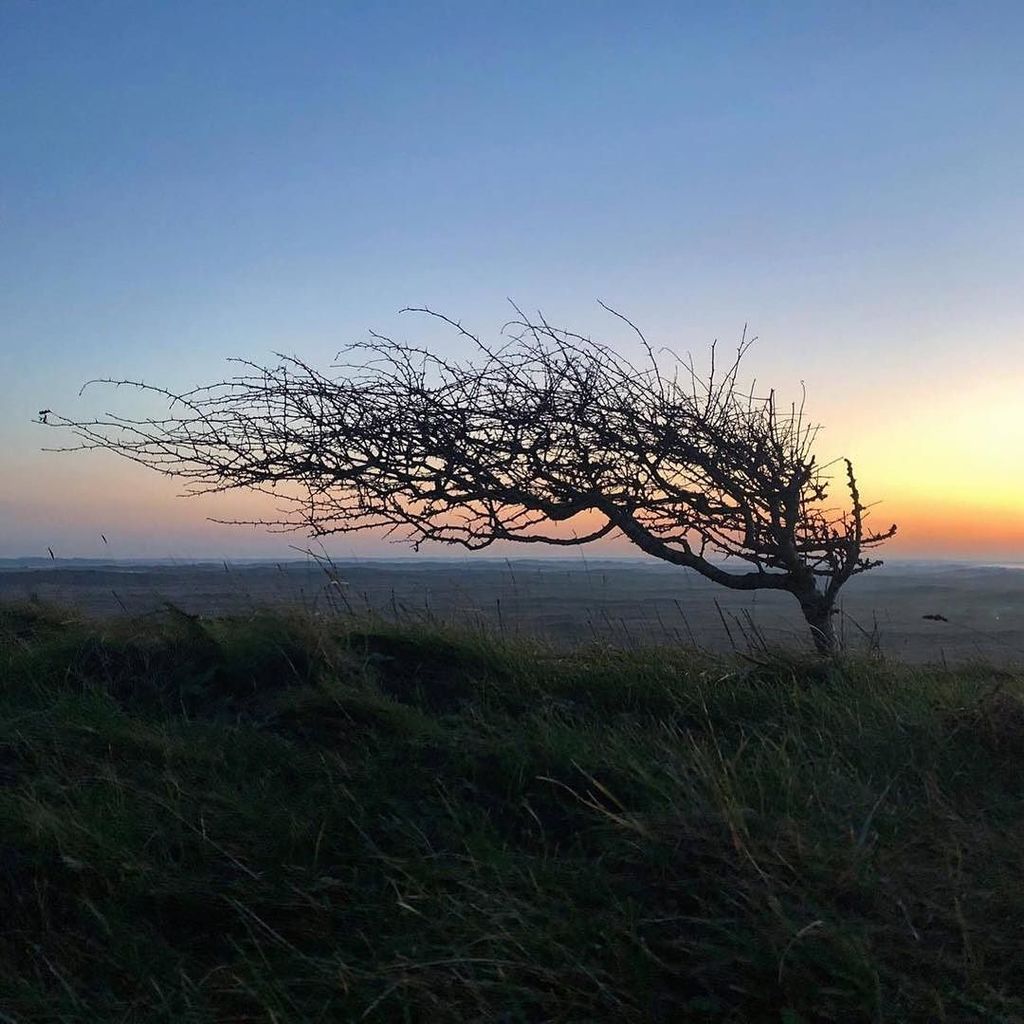 ELSKcom's tweet photo. 🇩🇰 There is no place like home... #elskcom #thy #elsk #elsklife #denmark #visitthy #visitdenmark #visitnordjylland https://t.co/1RoHvhQtTG https://t.co/4Lg22PEOt6