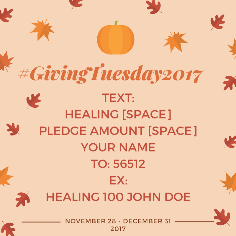 Journey_NEO's tweet photo. #GivingTuesday is 11/28, please consider #DVCAC on this A W E S O M E occasion of giving!! We make it simple, just text the word HEALING, your pledge amount, your name to 56512. Your donations change lives. https://t.co/BE8tJTzlUA