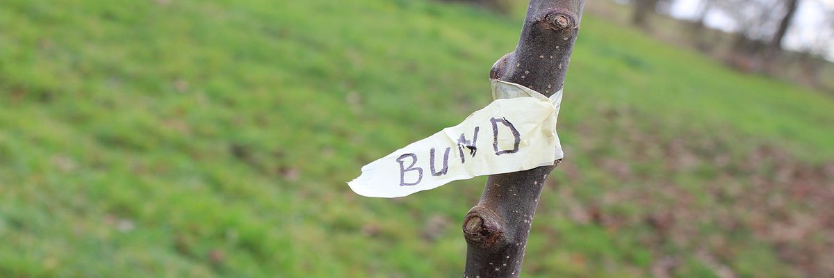 SRS takes responsibility for the environment and
sustainability. Our customers, our employees and their children plant trees in Wiesbaden, Germany! – Together for a better world!