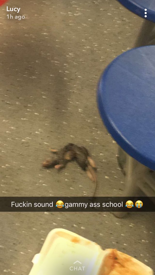 aaronjtyler's tweet photo. @GordonRamsay come by our school and shut it down please https://t.co/UnFKHh0YJc