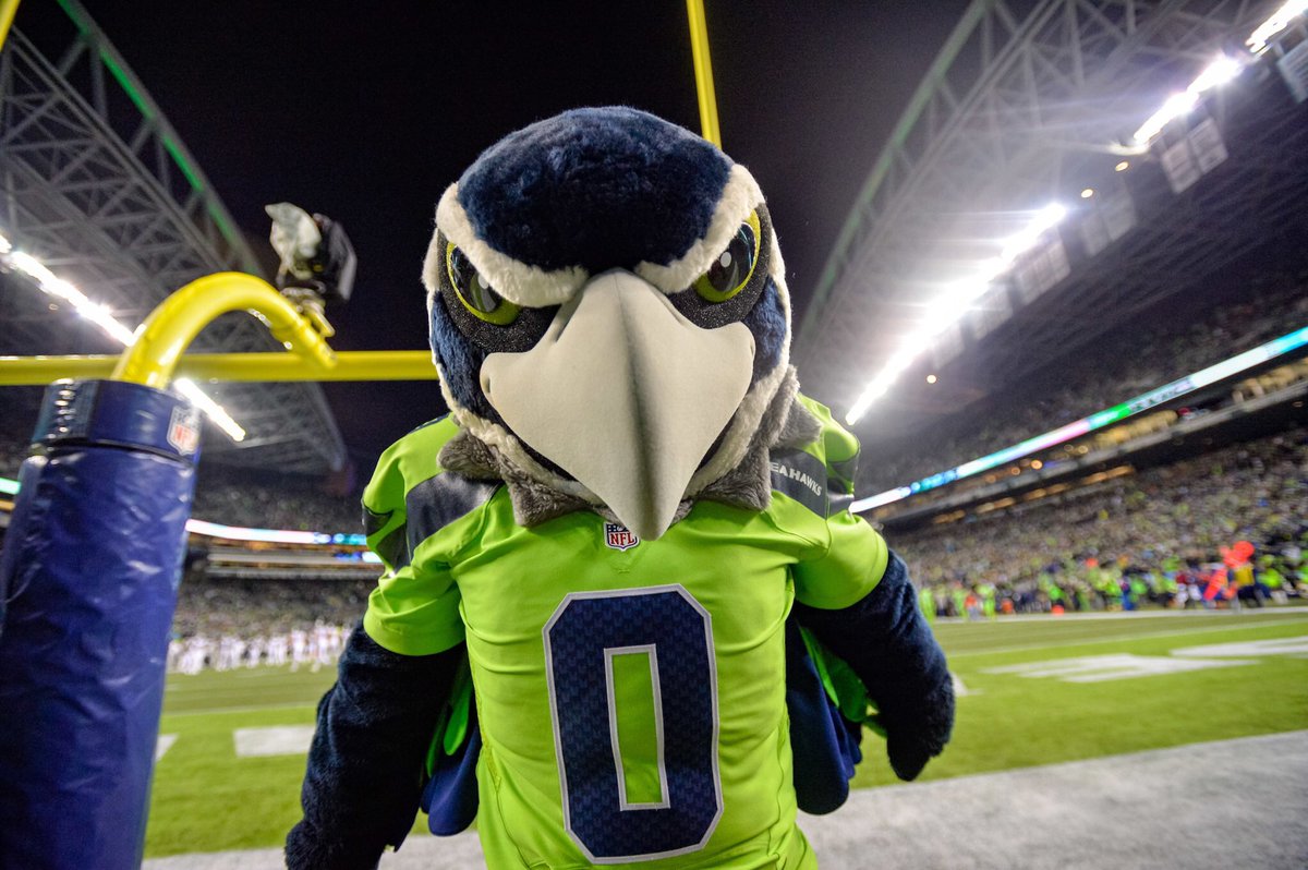BlitzTheSeahawk's tweet photo. GAMEDAY! #SEAvsAZ  #GoHawks #ActionGreen #ColorRush https://t.co/DRDtRn7R3b