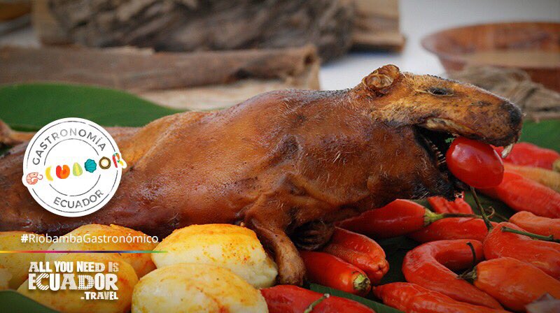 Featured image of post Cuyes Asados Con Papas Si te ha gustado la receta de pollo guisado con papas y zanahorias te sugerimos que entres en nuestra categor a de recetas de pollo
