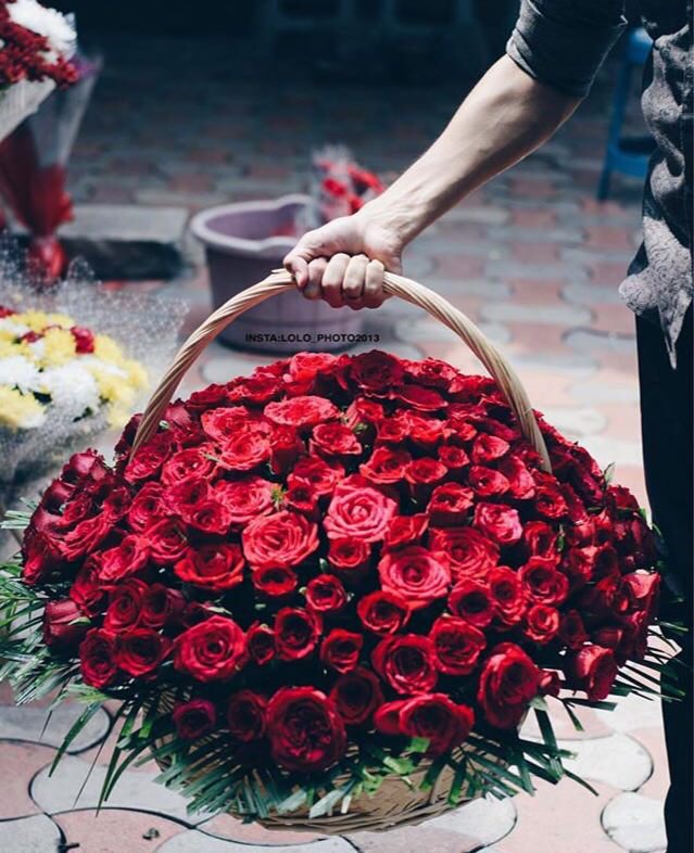 5TN__'s tweet photo. ↓˓❀⸀⠀
⠀
⠀ ⠀⠀
⠀
⠀ ⠀
دامك زرعت الحب في داخلي ورّد
أنا ما أبي غيرك من النا�� يسقيه ⠀
⠀

           ' ﴿ 💙⚜️🎻﴾ '⠀
⠀
⠀ ⠀
⠀ https://t.co/wEkGLcFGtY