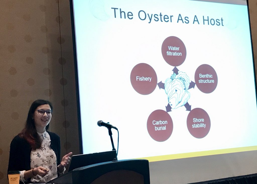Sam_J_Lake's tweet photo. When oysters are faced with disease, do they shift their energy towards reproduction or fighting infection? Lauren Huey, VASG Grad Fellow shares her research on oyster tolerance at #CERF2017 &amp; notes the important role of oyster sanctuaries @vaseagrant @TheOddOyster https://t.co/Im9TORNckD